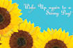 design a marketing postcard