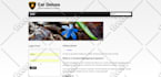 build a stunning joomla website for you