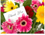 give you a international calling card