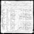 research your family tree