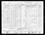 trace your family tree