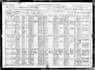 research your family tree