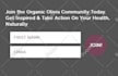 resolve any wordpress issue or error on your website