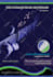 design professional branding services