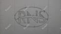 make custom sketches for you