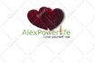 design 2 BEAUTIFUL logo concepts 1 day