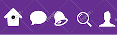design custom icon set for websites, apps, or project