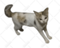 remove background of 10 pictures