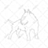 draw any dog breed