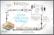 design attention grabbing infographic