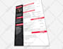 do professional CV, resume design