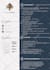 design best infographic resume CV in 48 hours