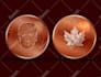 create a personalized coin from your photo