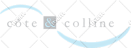 convert your logo into a vector for 24h