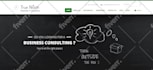 design and develop a professional wordpress site