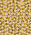 design beautiful textile prints