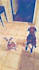 paint your pet in watercolors