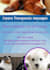 do urgent flyers, brochures, banners, roll up designs
