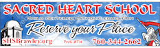 design professional brouchure for you