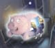 illustrate your childrens story, no ai, real human artist