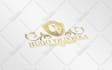 design mind blowing business logo