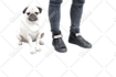 remove background of 50 images