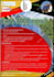 professional flyer with pull off tabs ready to print