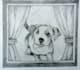 make custom sketches for you