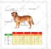 design any kind of graphic works
