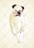 draw your pet and you to cartoon style