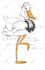 draw a cartoon drawing for you