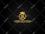 do a luxury logo design