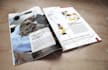 design product catalogue, sell sheet, lookbook, brochure, booklet