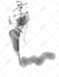 do fast sketches for fashion and character