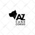 create animal themed logo