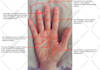 give you a psychic palm reading in 24 hours