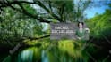 create a Professional Youtube Channel Banner Cover