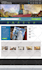 fix your website issue in 24 hours