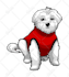 create your cartoonish character
