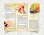 design a trifold brochure