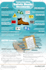 make you an infographic