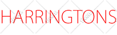 design professional and stunning logo