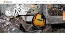 create designs, stationary, logo and presentations for you