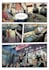 do cool comic book project