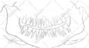 do high quality medical illustrations