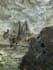 draw your concept art or illustration
