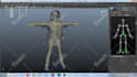do 3d character rigging in maya and 3ds max