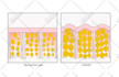redraw or convert your logo or image into vector