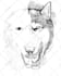 draw a black and white horror illustration