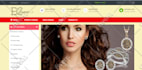 create an online shopping store for you